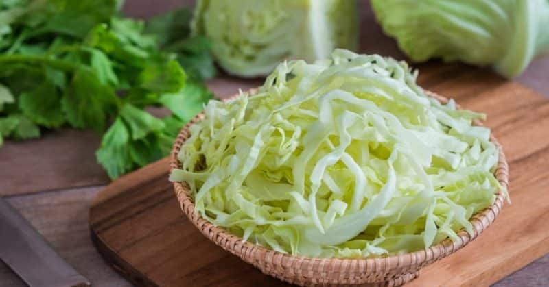 Late-ripening high-yielding cabbage hybrid Atria f1