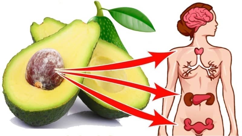 Gli incredibili benefici dell'avocado per le donne: mito o realtà?