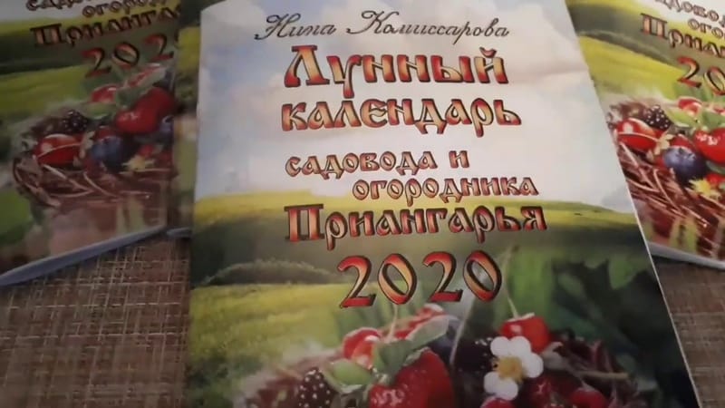 A melhor época para plantar árvores frutíferas na região de Moscou: plantar na primavera ou no outono?