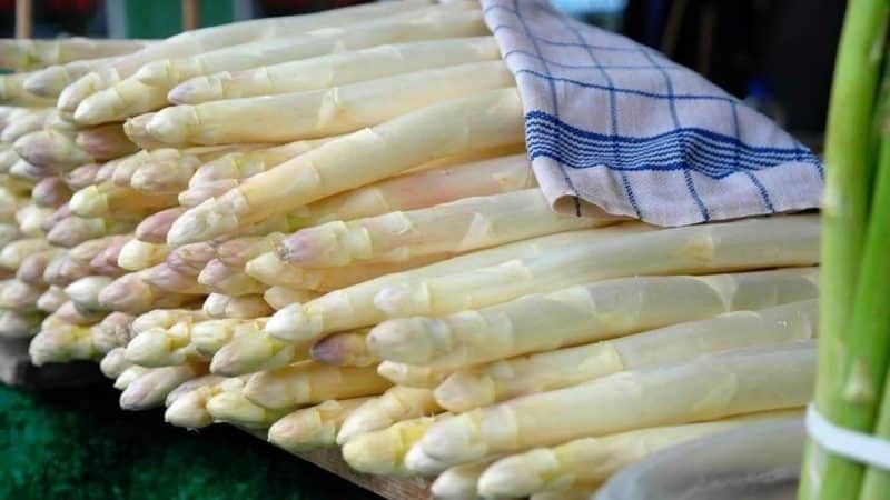 Qu'est-ce que l'asperge blanche et pourquoi a-t-elle cette couleur ?