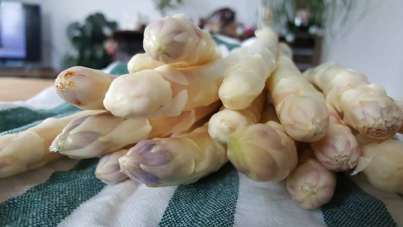 Qu'est-ce que l'asperge blanche et pourquoi a-t-elle cette couleur ?