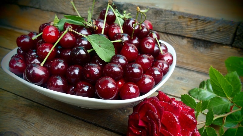 Quels sont les bienfaits des cerises pour le corps d’une femme ?