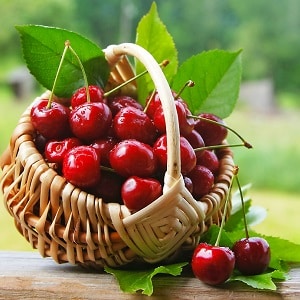 Quels sont les bienfaits des cerises pour le corps d’une femme ?