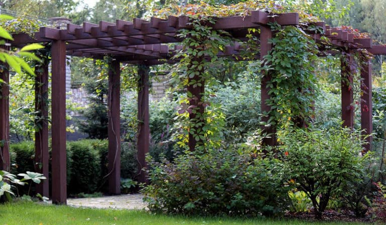 Cách làm pergola cho nho bằng tay của chính bạn