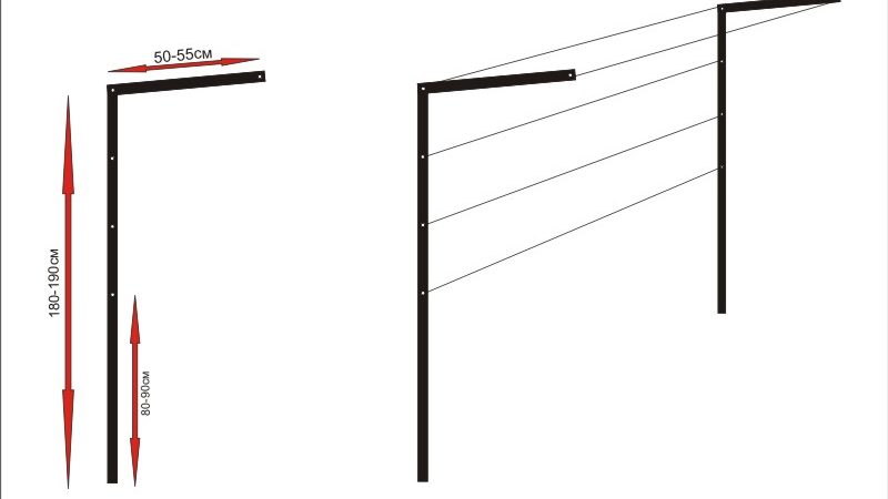 Varieties and independent production of trellises for grapes