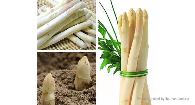 Qu'est-ce que l'asperge blanche et pourquoi a-t-elle cette couleur ?