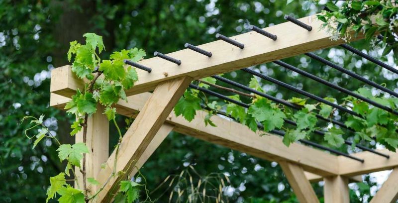 Cách làm pergola cho nho bằng tay của chính bạn