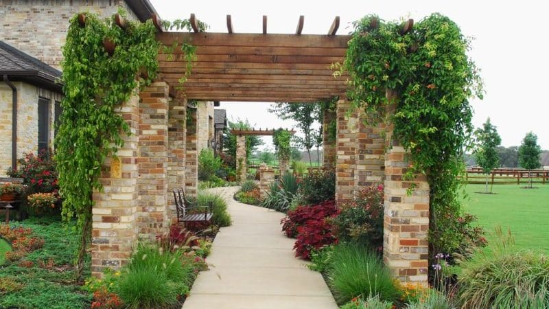 Cách làm pergola cho nho bằng tay của chính bạn