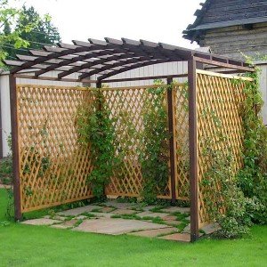 Hoe je met je eigen handen een pergola voor druiven maakt