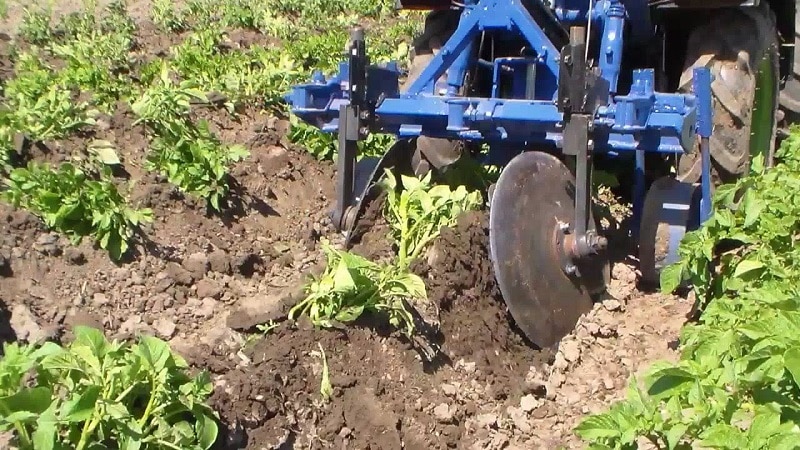 Technique de buttage des pommes de terre avec un tracteur à conducteur marchant