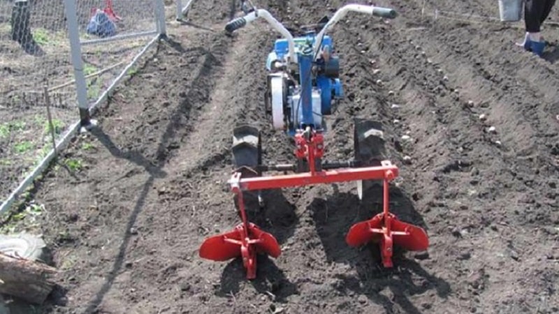 Technique for hilling potatoes with a walk-behind tractor