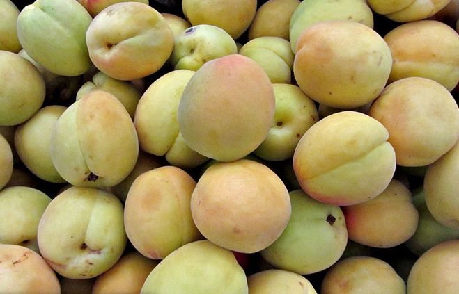 How to ripen green peaches at home