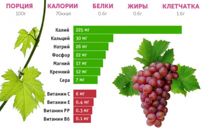 Quantas calorias as uvas têm e como são boas para a saúde?