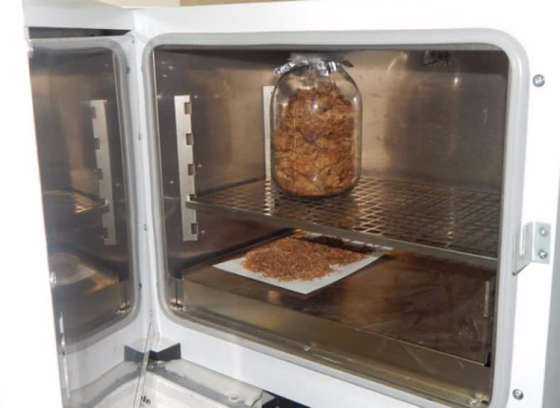 Step-by-step instructions for fermenting tobacco in the microwave for beginners