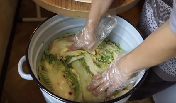 The simplest and most delicious recipes for salting Chinese cabbage at home