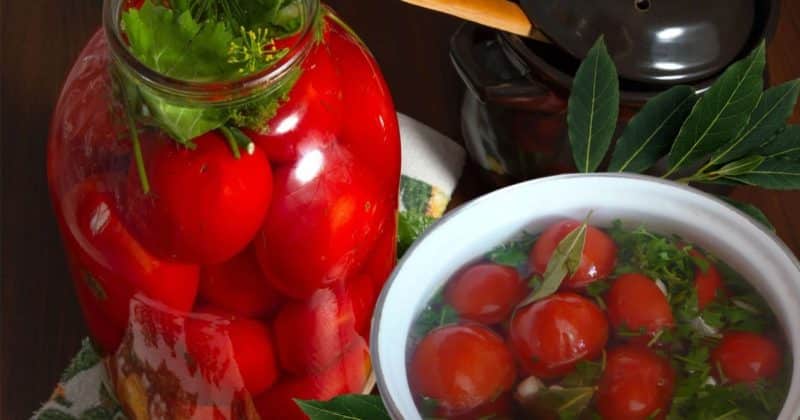 Cómo cocinar tomates encurtidos en casa: las 10 mejores recetas y recomendaciones de amas de casa experimentadas