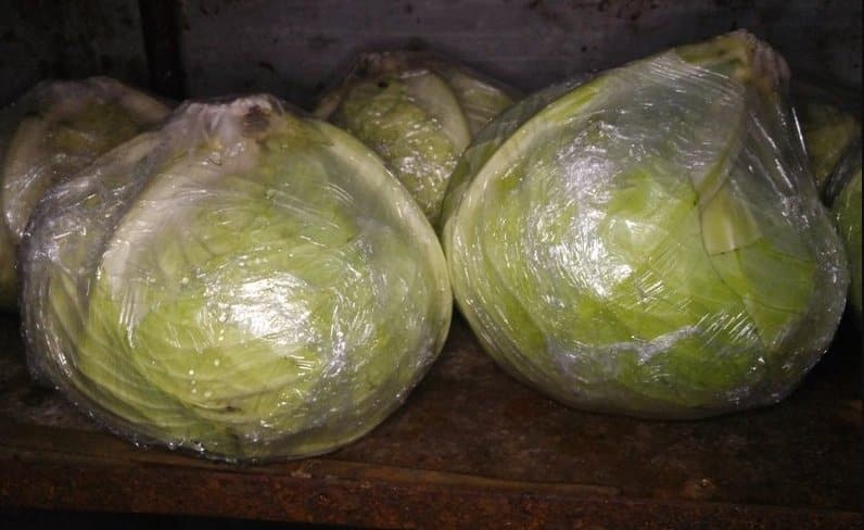 Mga tampok ng pag-iimbak ng repolyo sa cling film sa cellar