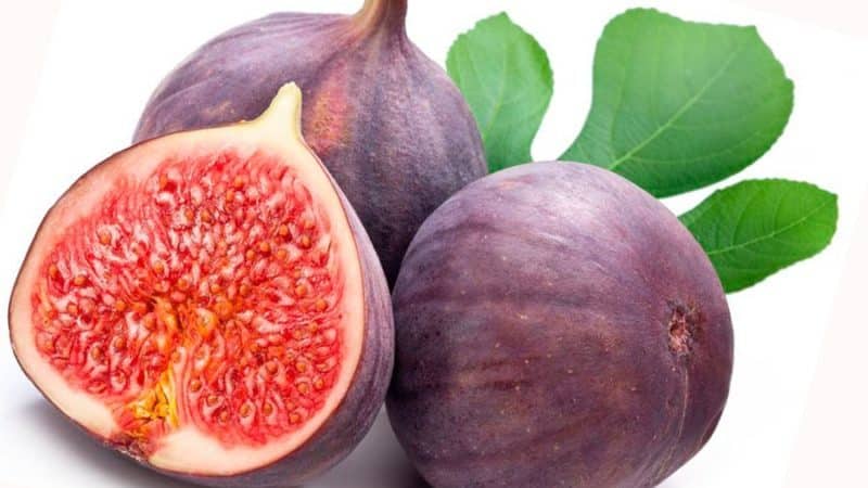 Propriétés bénéfiques des figues pour les femmes et règles d'utilisation