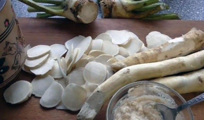 How to properly prepare dried horseradish, store it and use it