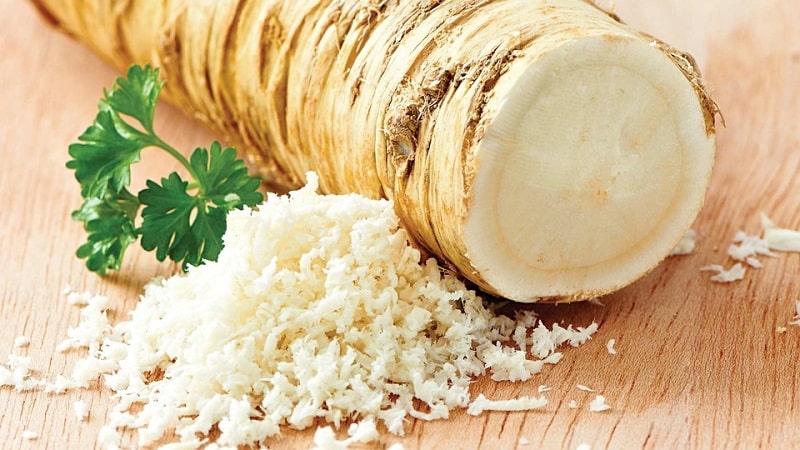 How to properly prepare dried horseradish, store it and use it