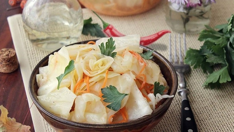 Deliciosas recetas de repollo encurtido en trozos.