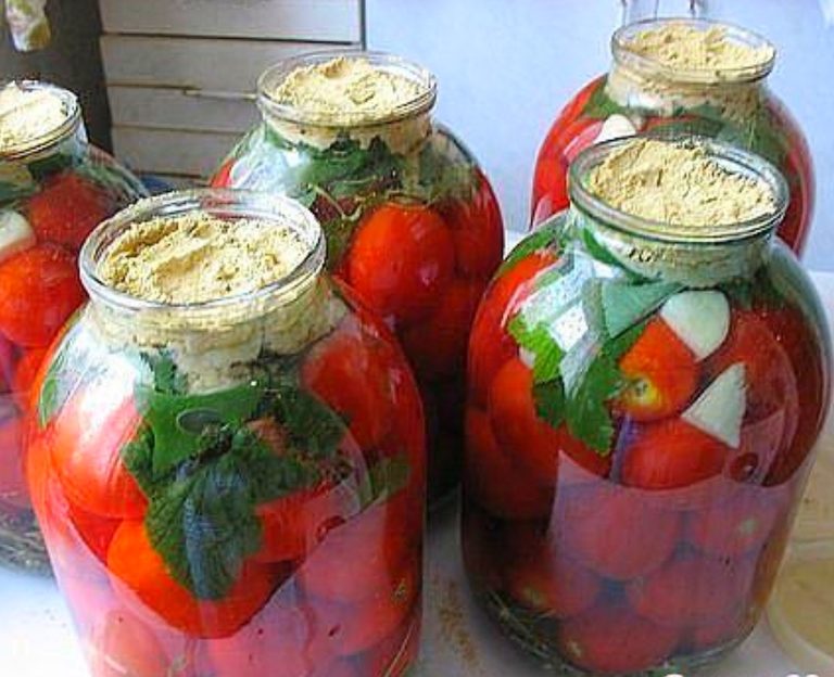 Come cucinare i pomodori in salamoia a casa: le 10 migliori ricette e consigli di casalinghe esperte