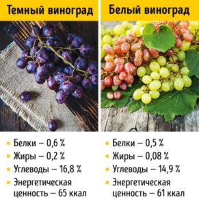 ¿Cuántas calorías tienen las uvas negras?