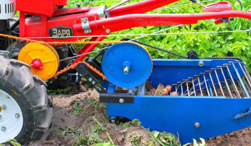 Anong uri ng mga potato digger ang nariyan para sa Neva walk-behind tractor at kung paano gumawa nito mismo