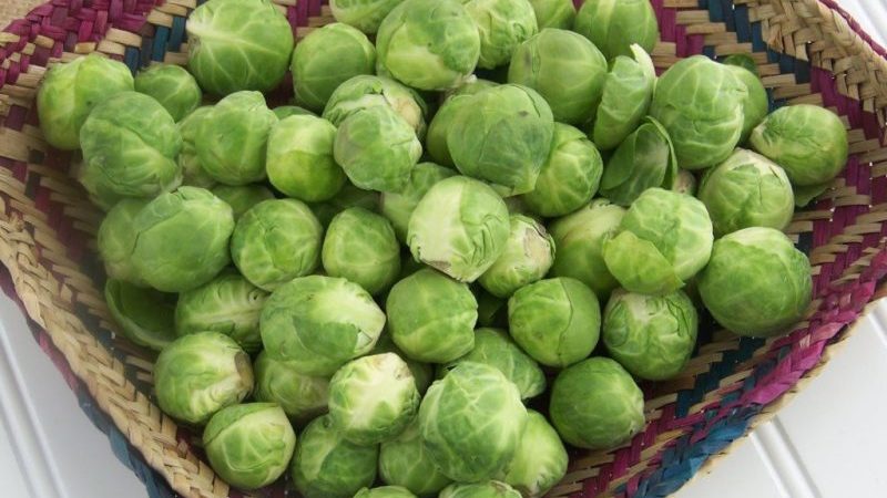 What is the name of small cabbage?