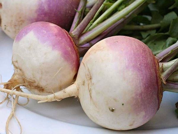 What is turnip, what does it look like, how does it grow and how to eat it correctly?