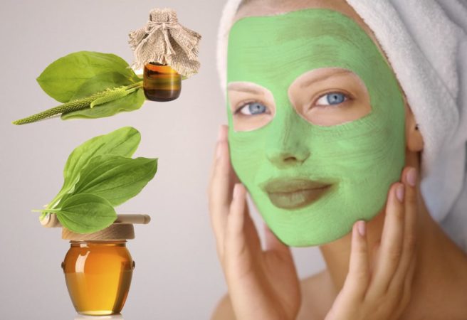 Paano gamitin ang basil sa mukha: mga review, mga kapaki-pakinabang na katangian, mga recipe ng mask