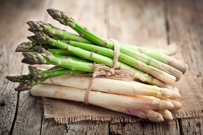 Caractéristiques de l'utilisation de l'asparagus officinalis