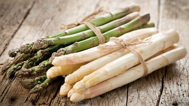 Bagaimana asparagus bermanfaat untuk tubuh wanita dan cara menggunakannya dengan betul