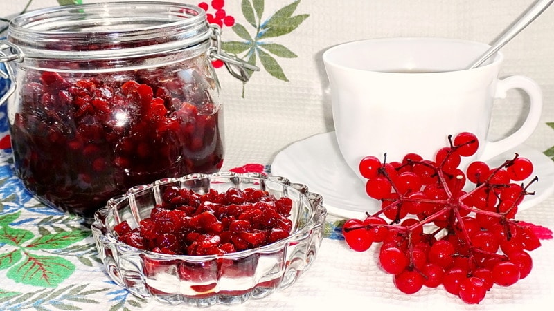 Useful properties and contraindications of viburnum for women