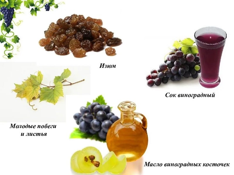 The harm and benefits of grapes for a woman’s body