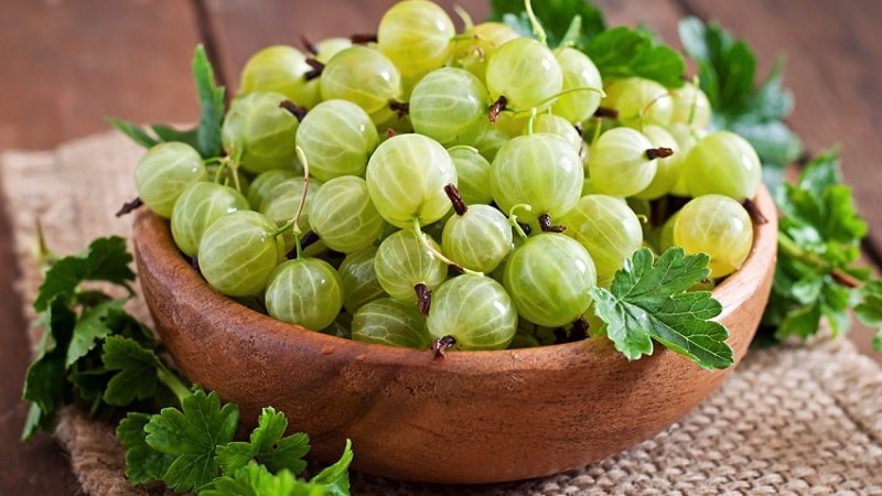 Berapa banyak kalori beri diraja dan adakah mungkin untuk makan gooseberries semasa menurunkan berat badan?