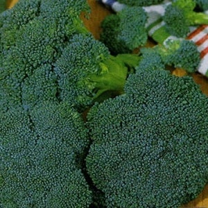 Varieties of broccoli: photo with name