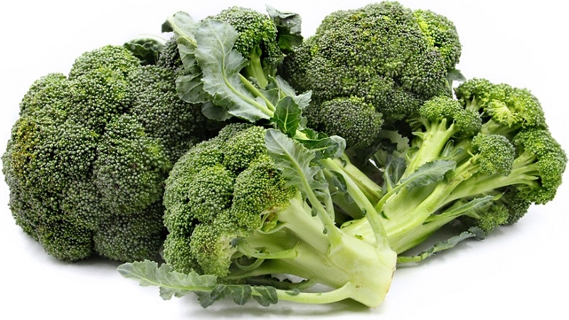 Varieties of broccoli: photo with name