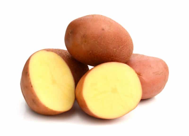 Arosa potatoes description varieties photo reviews