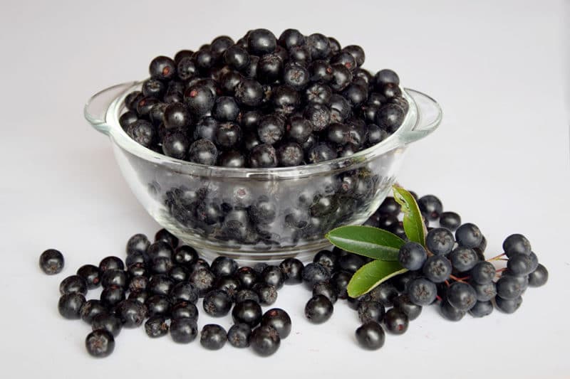 Dovresti mangiare l'aronia durante la gravidanza?